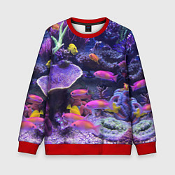 Свитшот детский Коралловые рыбки, цвет: 3D-красный