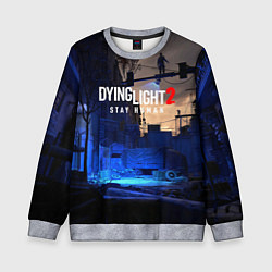 Свитшот детский Dyng Light 2: Stay Human - Приближается ночь, цвет: 3D-меланж
