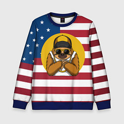 Свитшот детский Ленивец на фоне Американского флага, цвет: 3D-синий