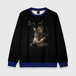 Свитшот детский Big cat Maine Coon, цвет: 3D-синий