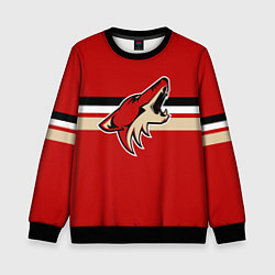 Свитшот детский Аризона Койотис форма, цвет: 3D-черный