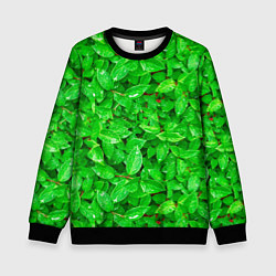 Свитшот детский Зелёные листья - текстура, цвет: 3D-черный