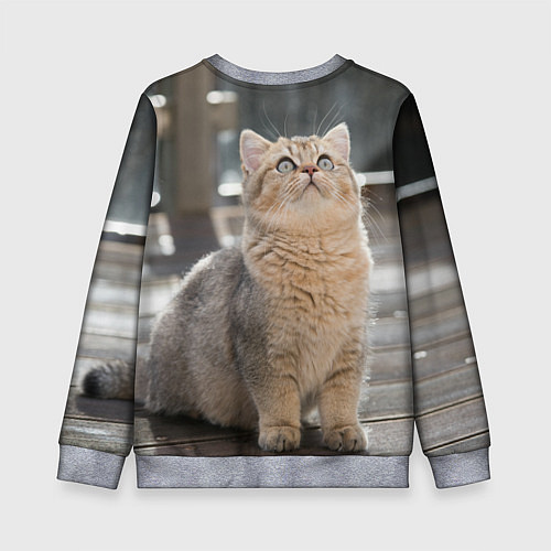Детский свитшот Британская короткошёрстная кошка смотрит вверх / 3D-Меланж – фото 2