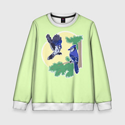 Свитшот детский Необычная яркая синяя сойка, цвет: 3D-белый