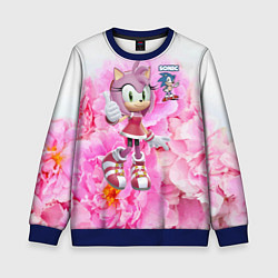 Свитшот детский Sonic - Amy Rose - Video game, цвет: 3D-синий