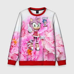 Свитшот детский Sonic - Amy Rose - Video game, цвет: 3D-красный