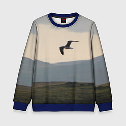 Свитшот детский Чайка, цвет: 3D-синий
