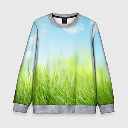 Детский свитшот Зелень и небо