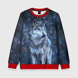 Свитшот детский Лесной волк, цвет: 3D-красный