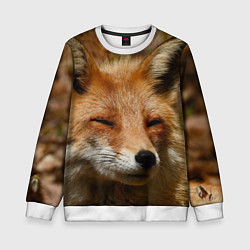 Свитшот детский Лис дремлет, цвет: 3D-белый