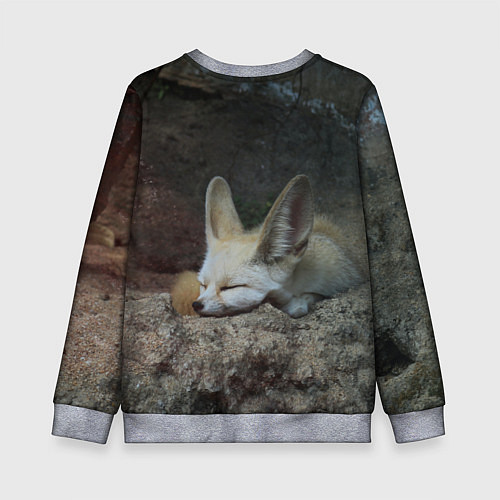 Детский свитшот Фенек / 3D-Меланж – фото 2