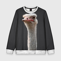 Свитшот детский Голова страуса, цвет: 3D-белый