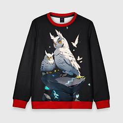 Свитшот детский Филины и магия, цвет: 3D-красный