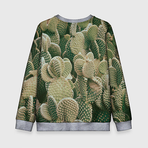 Детский свитшот Поле кактусов / 3D-Меланж – фото 2