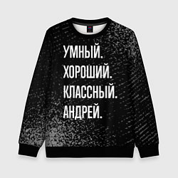 Свитшот детский Умный хороший классный: Андрей, цвет: 3D-черный