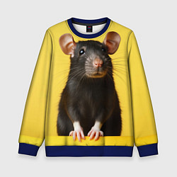 Свитшот детский Крыса черная, цвет: 3D-синий