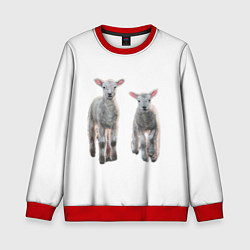 Детский свитшот Ягнята овцы