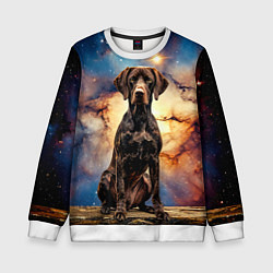 Свитшот детский Курцхаар и космос, цвет: 3D-белый