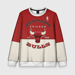 Свитшот детский NBA Bulls Vintage, цвет: 3D-белый