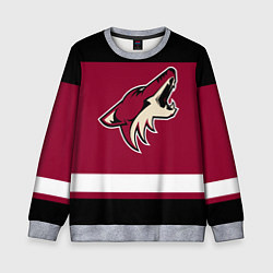 Свитшот детский Arizona Coyotes, цвет: 3D-меланж