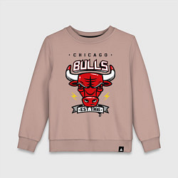 Детский свитшот Chicago Bulls est. 1966
