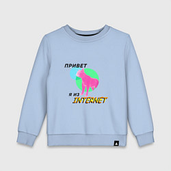 Свитшот хлопковый детский Привет я из internet, цвет: мягкое небо