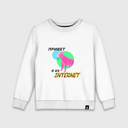 Детский свитшот Привет я из internet