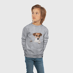 Свитшот хлопковый детский Собака, цвет: меланж — фото 2