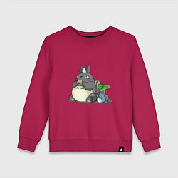 Свитшот хлопковый детский Тоторо, цвет: маджента