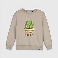 Детский свитшот Котики Кактусы Catctus