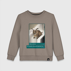 Детский свитшот Шлёпа