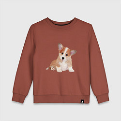 Свитшот хлопковый детский Fluffy Corgi, цвет: кирпичный