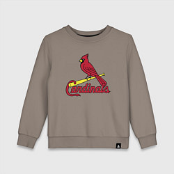 Детский свитшот St Louis Cardinals - baseball team