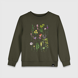 Свитшот хлопковый детский Полевые растения цветы ботаника, цвет: хаки