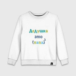 Детский свитшот Дедушка это