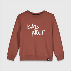 Свитшот хлопковый детский Bad Wolf злой волк, цвет: кирпичный
