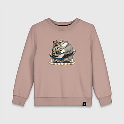 Детский свитшот КОТИКИ СУМОИСТЫ