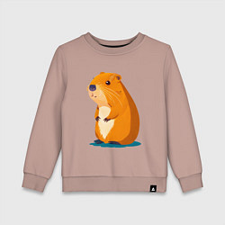 Детский свитшот Капибара - рисунок
