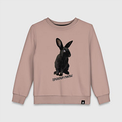 Свитшот хлопковый детский Приношу счастье, черный кролик, символ 2023 года, цвет: пыльно-розовый