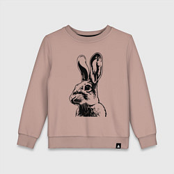 Свитшот хлопковый детский Wild rabbit, цвет: пыльно-розовый