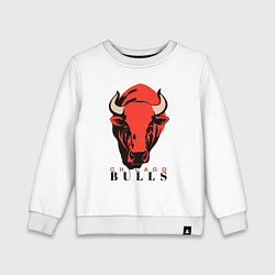 Детский свитшот Chicago bull