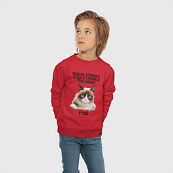 Свитшот хлопковый детский Кот-ворчун мем, цвет: красный — фото 2