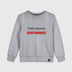Детский свитшот Собственно, программист