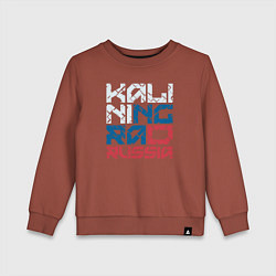 Свитшот хлопковый детский Россия Калиниград, цвет: кирпичный