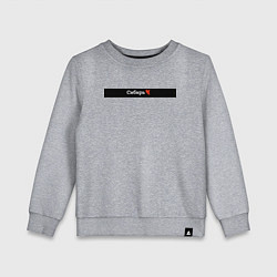 Свитшот хлопковый детский Сибирь регионы России, цвет: меланж