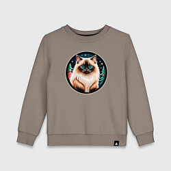 Детский свитшот Гималайский кот ждет Новый Год