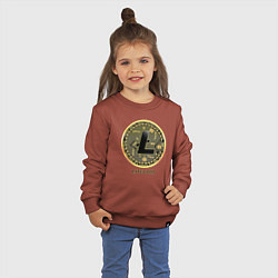 Свитшот хлопковый детский Litecoin крипта, цвет: кирпичный — фото 2