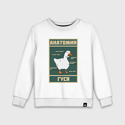 Детский свитшот Анатомия гуся