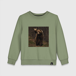 Детский свитшот Медведи гуляют по лесу
