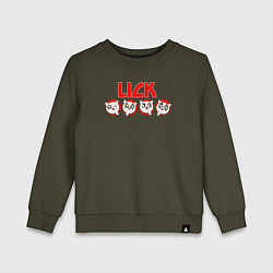 Свитшот хлопковый детский Kiss lick, цвет: хаки